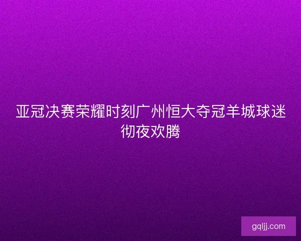 亚冠决赛荣耀时刻广州恒大夺冠羊城球迷彻夜欢腾